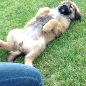 Meet your Posher, Braden